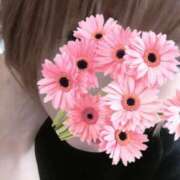 ヒメ日記 2025/12/06 09:55 投稿 しぐれ One More 奥様　錦糸町店