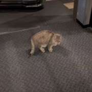 ヒメ日記 2026/02/14 19:42 投稿 ウナ 【福岡デリヘル】20代・30代★博多で評判のお店はココです!