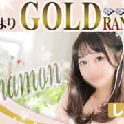 しなもん 🌼ご報告🌼 ビギナーズ神戸