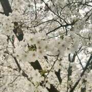 ヒメ日記 2025/04/04 14:15 投稿 みつき スピードエコ天王寺店