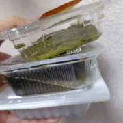 ヒメ日記 2025/02/09 15:15 投稿 さより先生 女教師