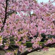 ヒメ日記 2025/03/25 07:05 投稿 さより先生 女教師