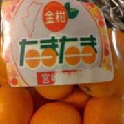 ヒメ日記 2025/04/07 21:15 投稿 さより先生 女教師