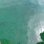 ヒメ日記 2025/06/30 20:45 投稿 さより先生 女教師