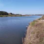 ヒメ日記 2025/08/16 08:55 投稿 さより先生 女教師