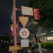 ヒメ日記 2026/03/29 14:58 投稿 成宮みる アロマレーベル新橋（シンデレラグループ）