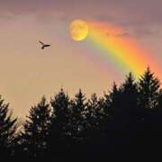 ヒメ日記 2024/12/14 21:05 投稿 ゆきの 横浜おかあさん