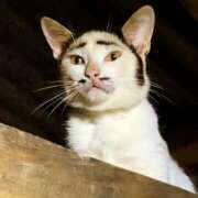 ヒメ日記 2024/12/20 07:55 投稿 ゆきの 横浜おかあさん