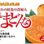 ヒメ日記 2024/12/29 10:15 投稿 ゆきの 横浜おかあさん