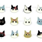 ヒメ日記 2025/01/08 07:15 投稿 ゆきの 横浜おかあさん