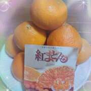 ヒメ日記 2025/01/09 06:58 投稿 ゆきの 横浜おかあさん