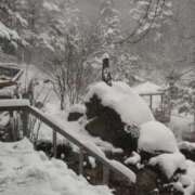 ヒメ日記 2025/01/12 09:45 投稿 ゆきの 横浜おかあさん