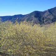 ヒメ日記 2025/01/14 08:22 投稿 ゆきの 横浜おかあさん