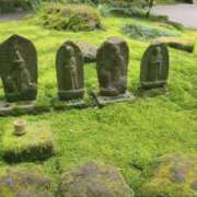 ヒメ日記 2025/01/15 06:35 投稿 ゆきの 横浜おかあさん