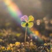 ヒメ日記 2025/01/18 06:25 投稿 ゆきの 横浜おかあさん