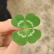 ヒメ日記 2025/02/05 09:25 投稿 ゆきの 横浜おかあさん