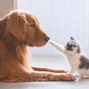 ヒメ日記 2025/02/06 07:39 投稿 ゆきの 横浜おかあさん