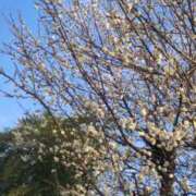 ヒメ日記 2025/02/07 06:15 投稿 ゆきの 横浜おかあさん