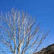 ヒメ日記 2025/02/10 15:05 投稿 ゆきの 横浜おかあさん