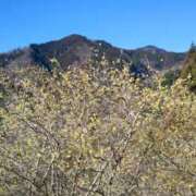 ヒメ日記 2025/02/12 06:25 投稿 ゆきの 横浜おかあさん