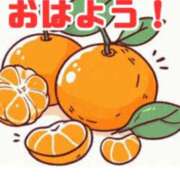 ヒメ日記 2025/02/13 06:35 投稿 ゆきの 横浜おかあさん