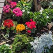 ヒメ日記 2025/02/18 09:25 投稿 ゆきの 横浜おかあさん