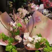 ヒメ日記 2025/02/21 10:55 投稿 ゆきの 横浜おかあさん