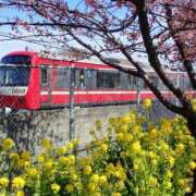 ヒメ日記 2025/03/01 07:15 投稿 ゆきの 横浜おかあさん