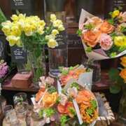 ヒメ日記 2025/03/05 09:35 投稿 ゆきの 横浜おかあさん