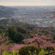 ヒメ日記 2025/03/08 06:25 投稿 ゆきの 横浜おかあさん