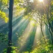 ヒメ日記 2025/03/08 09:35 投稿 ゆきの 横浜おかあさん