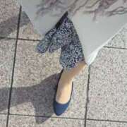 ヒメ日記 2025/03/14 08:55 投稿 ゆきの 横浜おかあさん