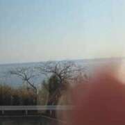 ヒメ日記 2025/03/23 08:48 投稿 ゆきの 横浜おかあさん