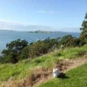 ヒメ日記 2025/03/26 20:05 投稿 ゆきの 横浜おかあさん