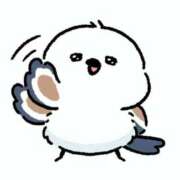 ヒメ日記 2025/03/27 12:55 投稿 ゆきの 横浜おかあさん