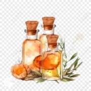 ヒメ日記 2025/04/08 19:35 投稿 ゆきの 横浜おかあさん