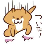 ヒメ日記 2025/04/09 09:25 投稿 ゆきの 横浜おかあさん