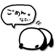 ヒメ日記 2025/04/15 08:45 投稿 ゆきの 横浜おかあさん