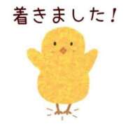 ヒメ日記 2025/04/16 09:25 投稿 ゆきの 横浜おかあさん