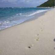 ヒメ日記 2025/04/19 21:39 投稿 ゆきの 横浜おかあさん