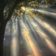 ヒメ日記 2025/04/21 06:55 投稿 ゆきの 横浜おかあさん