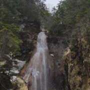 ヒメ日記 2025/05/04 14:55 投稿 ゆきの 横浜おかあさん