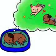 ヒメ日記 2025/05/16 06:25 投稿 ゆきの 横浜おかあさん