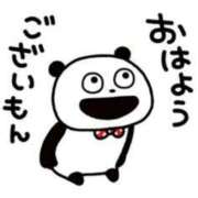 ヒメ日記 2025/05/20 07:45 投稿 ゆきの 横浜おかあさん