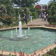 ヒメ日記 2025/05/26 06:15 投稿 ゆきの 横浜おかあさん