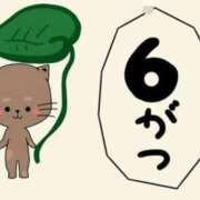 ヒメ日記 2025/06/02 07:45 投稿 ゆきの 横浜おかあさん