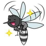 ヒメ日記 2025/06/05 08:25 投稿 ゆきの 横浜おかあさん