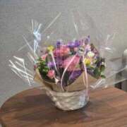 ヒメ日記 2025/06/16 09:20 投稿 ゆきの 横浜おかあさん