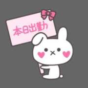 ヒメ日記 2025/07/11 07:55 投稿 ゆきの 横浜おかあさん