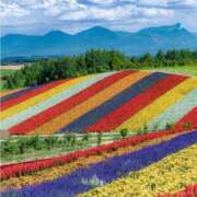 ヒメ日記 2025/07/25 21:05 投稿 ゆきの 横浜おかあさん